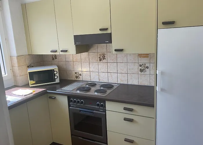 아파트 Ferienwohnung Zuerich 취리히